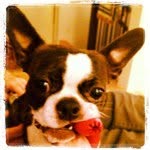 @bobbrewster2000 - Instagram