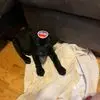bobbrewster3 - @brewdodgejet - TikTok