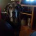 Bob Brim - Facebook