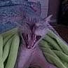 Bob Brinkerhoff - Facebook