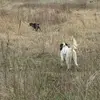 Bob Britten - @bob.britten - TikTok