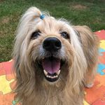 Bob Brown Sousa - @bobbrownsousa - Instagram