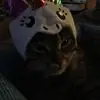 Mackinac_42 - @bobbiebrownlee - TikTok