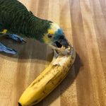 Bob Bryant Sr. - @bob_bryant_ - Instagram