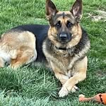 Bob Bryson - @bobbryson63 - Instagram
