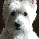 @bobbullock - Instagram