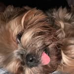 Bob Burnquist Marley - @bobburnquistmarley - Instagram