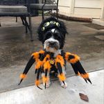 Bob Burris - @bobgburris1 - Instagram