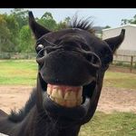 bob burris - @bob._.burris - Instagram