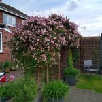 Bob Burrows - @bobburrows54 - Instagram