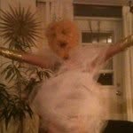 bobseine - @bobseine_nlcs176463_burwell - Instagram