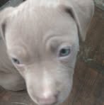 Bobby Byrd - Facebook