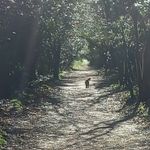 Bob Byrne - @bob_byrne7 - Instagram