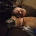Bob Caffrey - Facebook