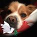 Bob Calderone - Facebook