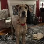 Bob Calhoun - @bcalhoun59 - Instagram