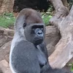 Bob Cameron - @bob.cameron.7 - Instagram