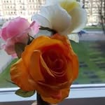 Bob Canter - @canterbob - Instagram