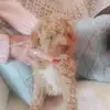 Bobby Canter - @bobby.canter - TikTok