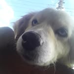 Matheus - @cantinho__do_bob_2541 - Instagram