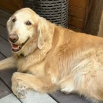 Bob Cantrell - @rbobwithoneo75 - Instagram