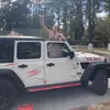 Bobbie Cantrell❌ - @wickedbitch_69 - TikTok
