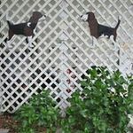 Bob Cardinal - @bobcardinal46 - Instagram