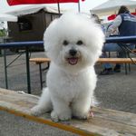 Robby Del Cardinal Gherardo - @robby_del_cardinal_gherardo - Instagram