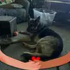 Bob Carter - @bob.carter35 - TikTok