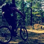 bob - @bobcastillo18 - Instagram