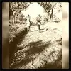 Bob Castillo - @bobcastillo6 - TikTok