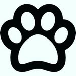 Bob Castillo Hdz - @bobcastillohdz_45 - Instagram