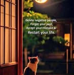 Bob Cat - Facebook