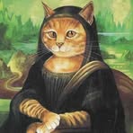 Bob Cat - Facebook