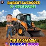 Bob Cat - @bobcat2808 - Instagram