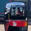 Bobcat_Bob - @bobcat_bob - TikTok