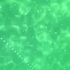 bob_cena69 - @bob_cena69 - TikTok