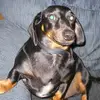 Bob Chandler - @bob.chandler6 - TikTok