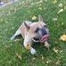 Bob Chatterton - Facebook