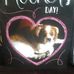 Bob Chesworth - Facebook
