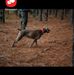 Bob Choate - Facebook