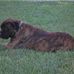 Bob Choate - Facebook