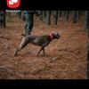 Bob Choate - @bob.choate1 - TikTok