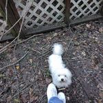 Bobette Choate Franks - @bobettechoate - Instagram