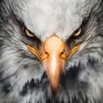 Bob Christensen - Facebook
