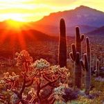 Bob Christensen - @cbunchbob49 - Instagram