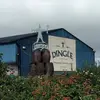 bobclairedingle - @bobclairedingle - TikTok