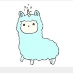 Two Twin Alpacas - @bob_claire - Instagram