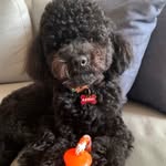 Bob Clayton Rossi - @bobclaytonrossi - Instagram