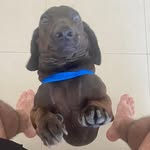 Eu sou o Bob, Bob Clayton - @bob_clayton10 - Instagram
